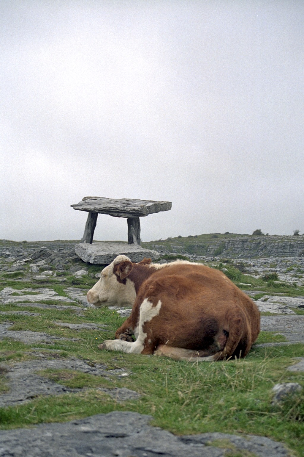 Burren steinaldargröf, Írland