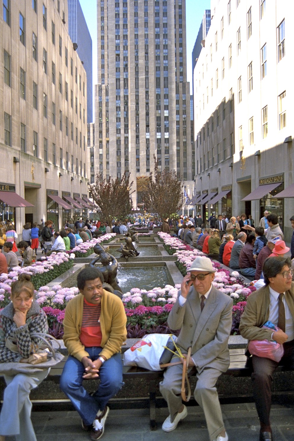 Channel Gardens, New York