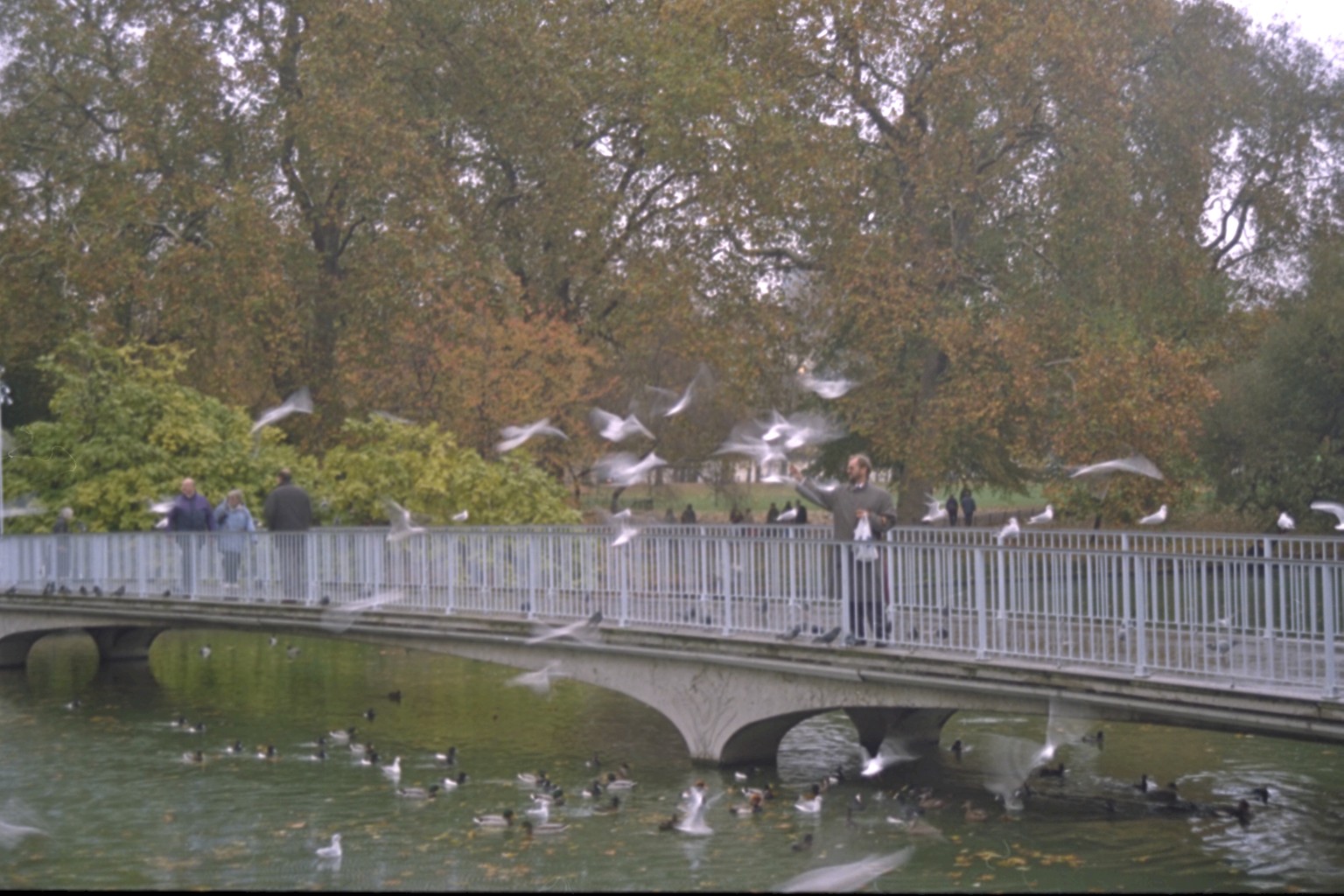 St. James's Park, London