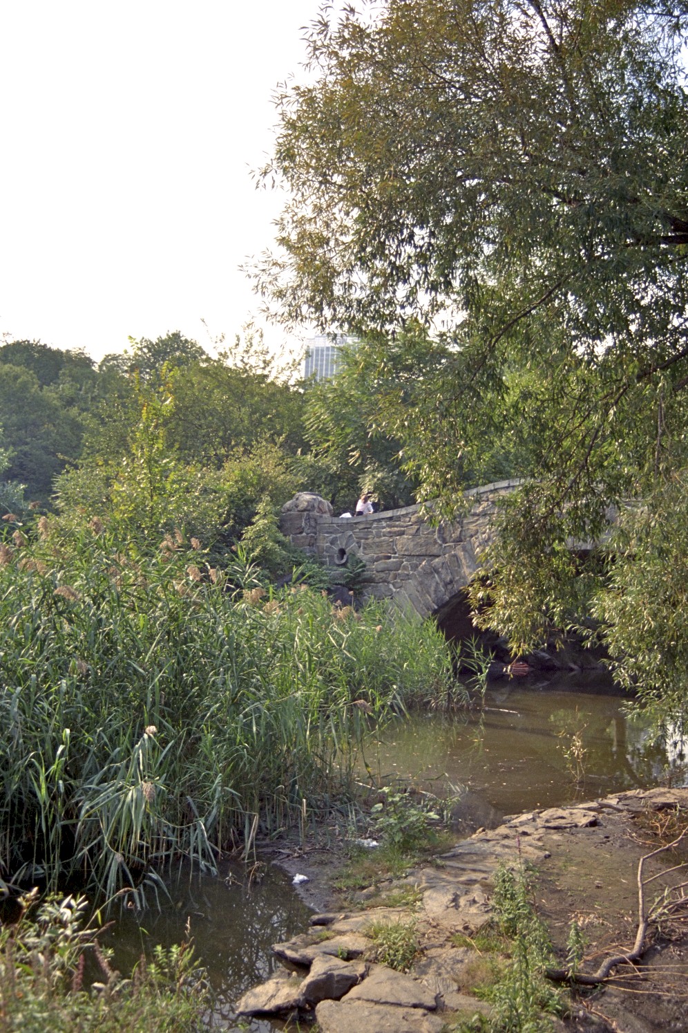 Central Park, New York